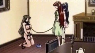 Thumbnail of post image 046